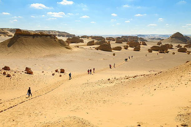 2-Day Trip to Fayoum